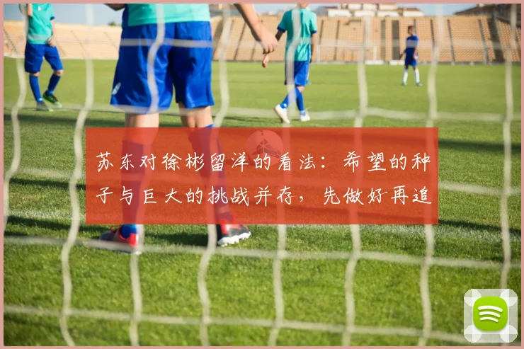 苏东对徐彬留洋的看法：希望的种子与巨大的挑战并存，先做好再追求完美