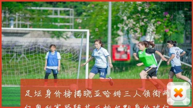 足坛身价榜揭晓亚哈姆三人领衔两亿奥利塞紧随其后帕尔默身价破亿